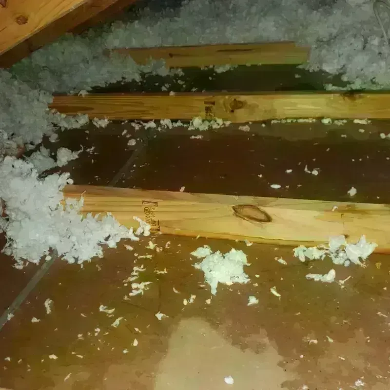 Attic Water Damage in Statenville, GA